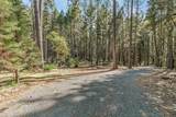 707 Mcmullen Creek Road - Photo 46