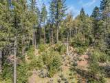 707 Mcmullen Creek Road - Photo 52
