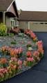 2305 Wilcox Avenue - Photo 43