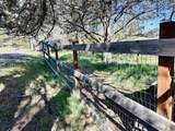 16524 Fieldcrest Road - Photo 55