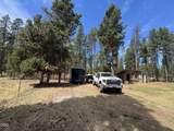 54655 Husky Lane - Photo 34