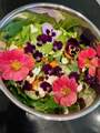 61935 Ten Barr Ranch Road - Photo 75
