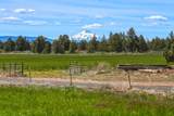 11810 43rd Street - Photo 29