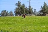 11810 43rd Street - Photo 32