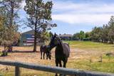 6900 1st Street - Photo 106