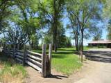 2917 Shady Dell Road - Photo 4