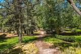 3729 Summerfield Road - Photo 65
