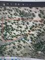 23348 Chisholm Trail - Photo 4