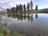 41763 Royal Coachman Drive - Photo 3