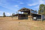 4799 Williams Road - Photo 52