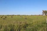4799 Williams Road - Photo 56