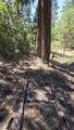 10001 Dead Indian Memorial Road - Photo 11