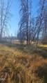  Valley Oak - Photo 2