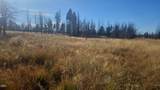  Valley Oak - Photo 3