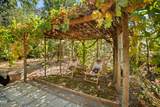 3184 Old Stage Road - Photo 43