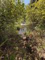 705 Lone Mountain Road - Photo 32