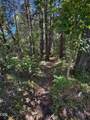 705 Lone Mountain Road - Photo 35