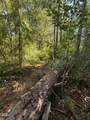 705 Lone Mountain Road - Photo 36