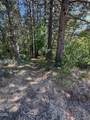 705 Lone Mountain Road - Photo 37