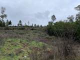 685 King Mountain Trail - Photo 11