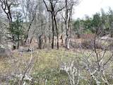 685 King Mountain Trail - Photo 13