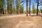 16319 Black Tail Lane - Photo 2