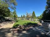 375 Elm Street - Photo 54