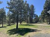 42260 Brook Trout Lane - Photo 3