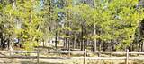 56234 Black Duck Road - Photo 5