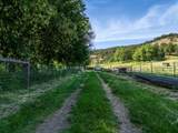6180 Little Applegate Road - Photo 49