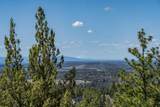 3341 Panorama Drive - Photo 37