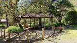 52 Dodes Creek Road - Photo 13