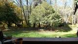 52 Dodes Creek Road - Photo 57