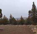 20102 Osprey Road - Photo 10