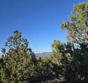 20102 Osprey Road - Photo 14