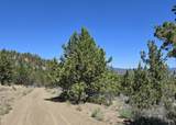 20102 Osprey Road - Photo 15