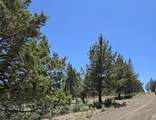 20102 Osprey Road - Photo 16