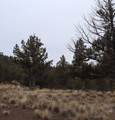 20102 Osprey Road - Photo 18