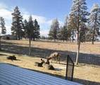 353 Pine Meadow Street - Photo 32