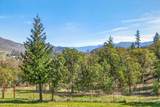 145 Lomas Road - Photo 51