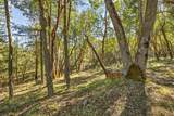 145 Lomas Road - Photo 70