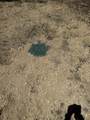 0 Depot Street - Photo 23