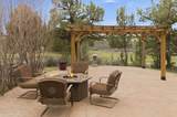 24442 Dodds Road - Photo 47