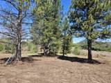 0 Forest View Drive - Photo 5