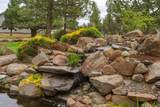 17584 Mountain View Road - Photo 7