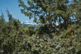 20825 Rorick Drive - Photo 12