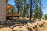 11504 Crossbill Drive - Photo 55