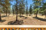 11504 Crossbill Drive - Photo 58