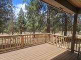 11504 Crossbill Drive - Photo 60