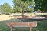 10016 Mcguire Avenue - Photo 91